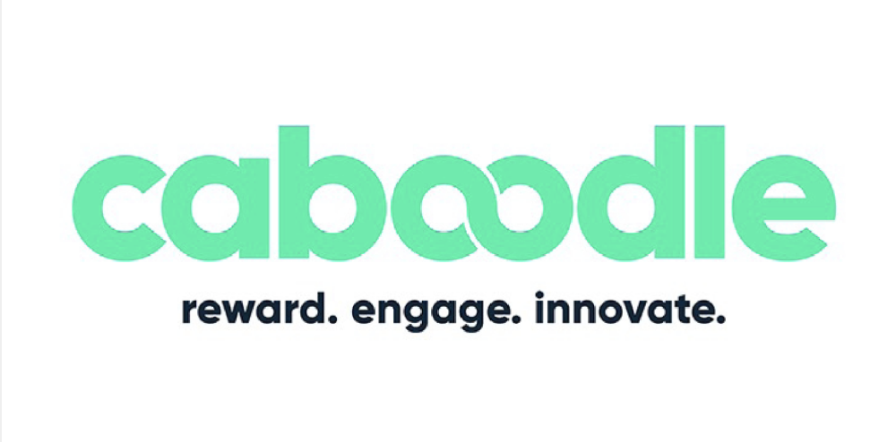 Caboodle Logo